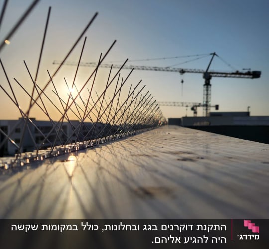 דוקרנים למניעת יונים על גג עם מנוף ברקע